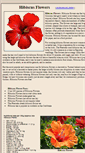Mobile Screenshot of hibiscus-flower.com