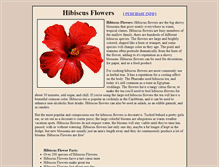 Tablet Screenshot of hibiscus-flower.com